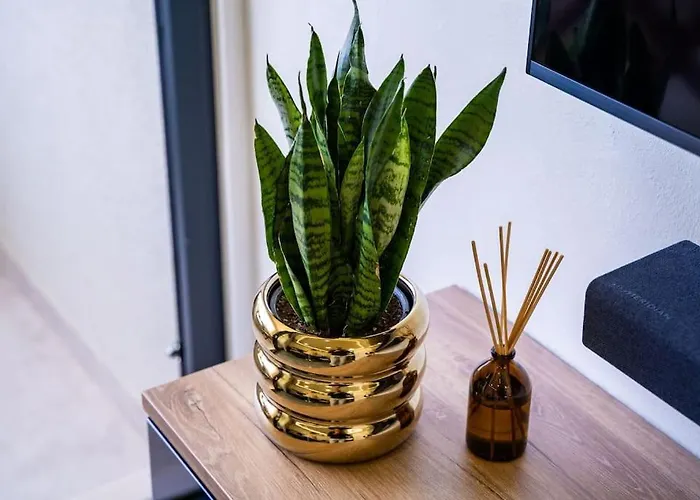 Anavi شقة دوبروفينك